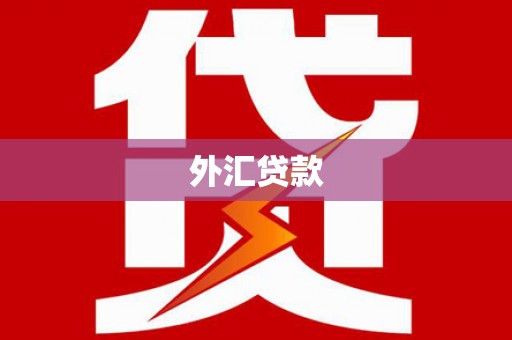 萧山外汇贷款