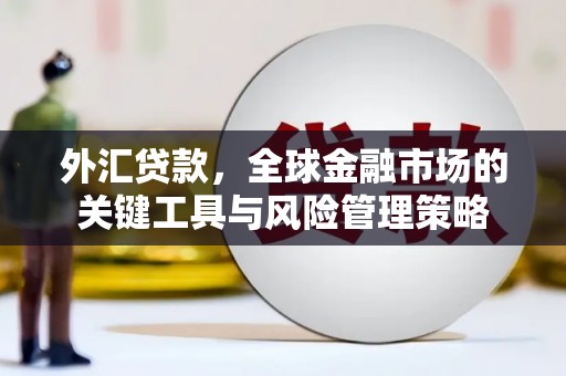 萧山外汇贷款，全球金融市场的关键工具与风险管理策略