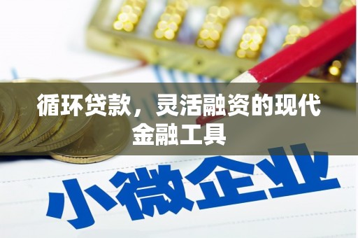 萧山循环贷款，灵活融资的现代金融工具