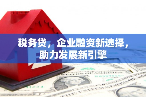 萧山税务贷，企业融资新选择，助力发展新引擎