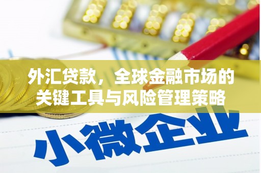 萧山外汇贷款，全球金融市场的关键工具与风险管理策略