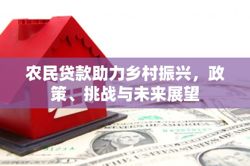 萧山农民贷款助力乡村振兴，政策、挑战与未来展望