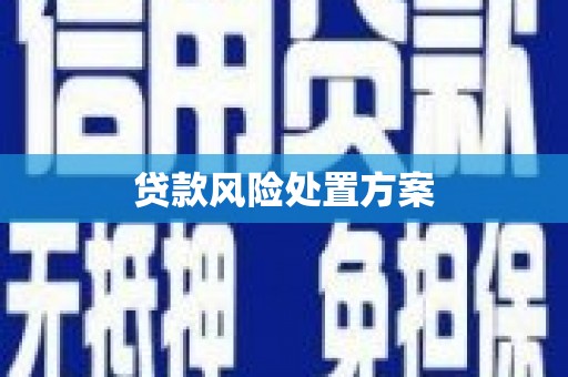 萧山贷款风险处置方案